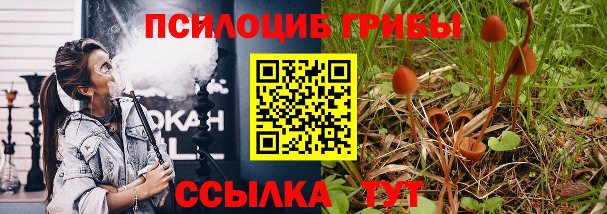 Галлюциногенные грибы MAGIC MUSHROOMS Южно-Сахалинск